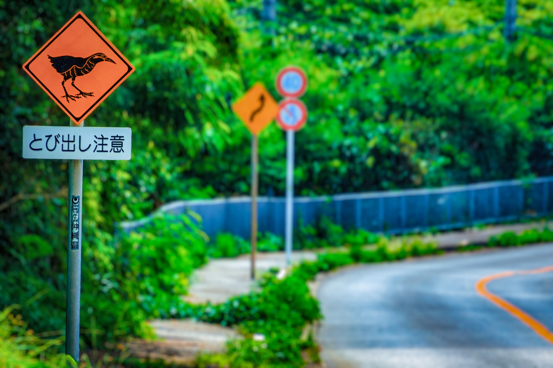 やんばる看板