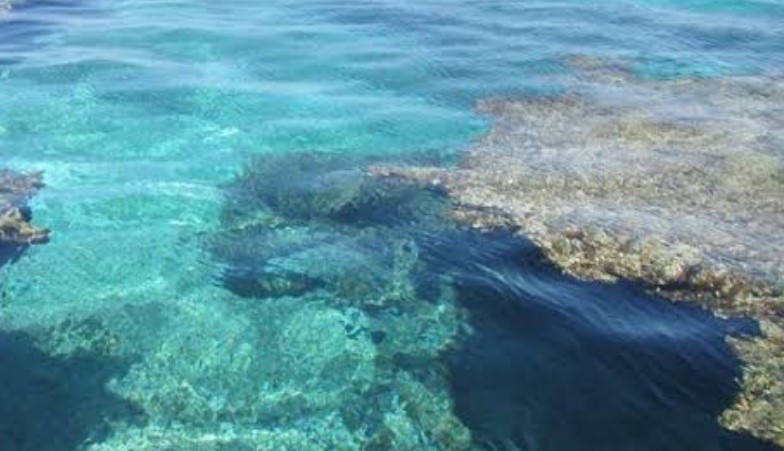 米須海岸
