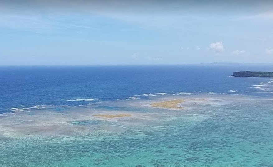 ジュゴンの見える丘