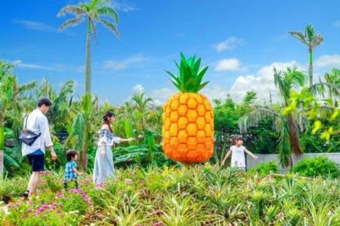 名護パイナップルパーク