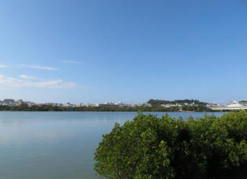 慢湖