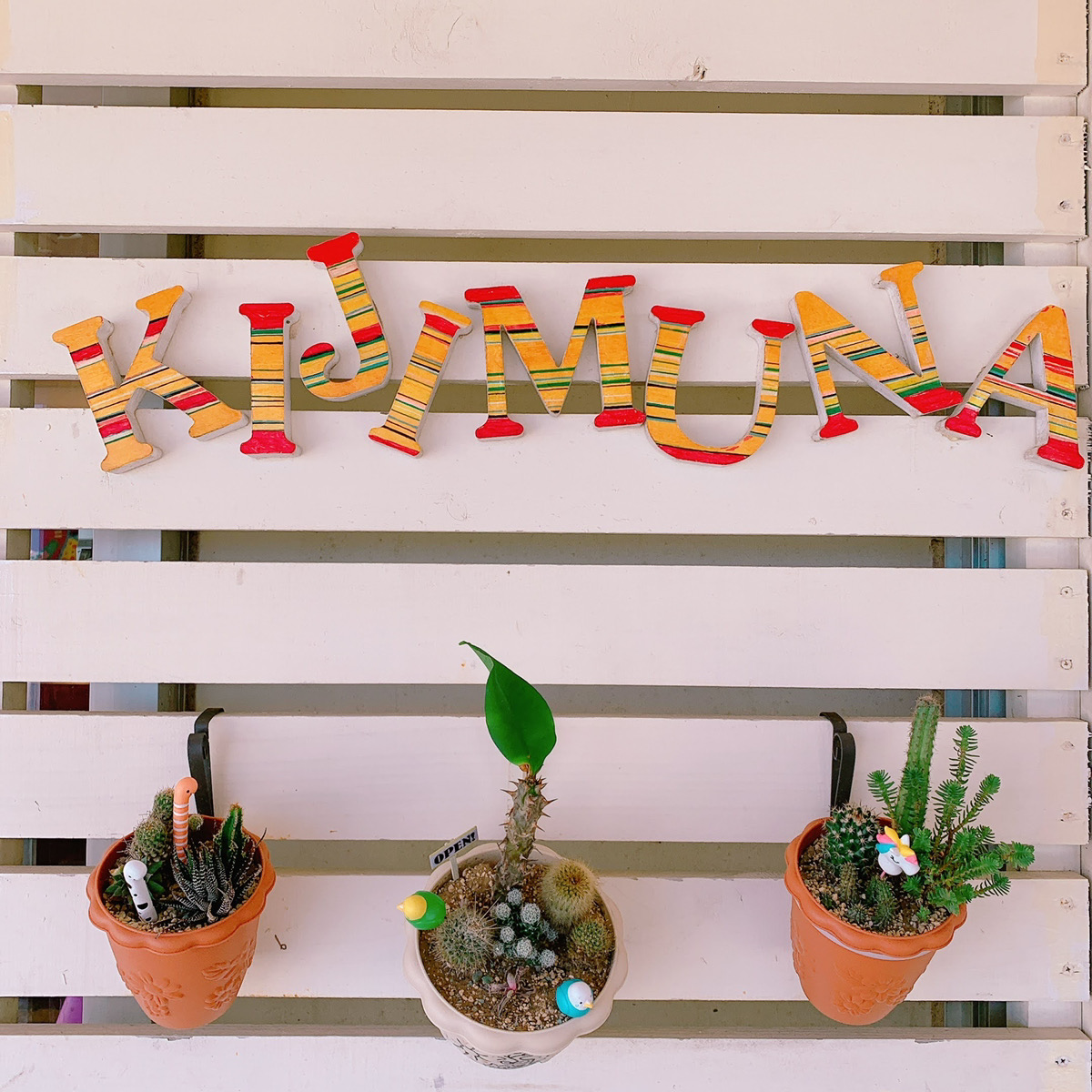 タコライスカフェ「きじむなあ」デポアイランド店