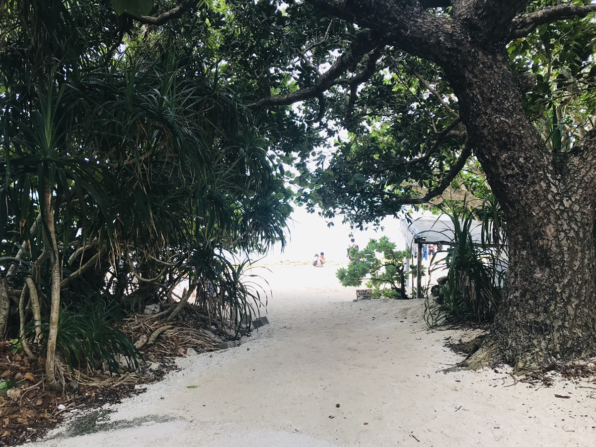 竹富島のカイジ浜で星砂を探そう！