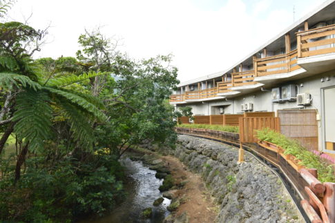 Iriomote Island Jungle Hotel Painumaya