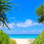 【今帰仁村】『The:Moves Cinema Villa(ザ・ムーブス シネマヴィラ）』非日常で映画を見る！ジャグジーやBBQで「五感が整う」ヴィラ