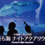 【2025年8月1日（金）～8月31日（日）】美ら海ナイトアクアリウム！神秘的な夜の海を体験！沖縄美ら海水族館で開催