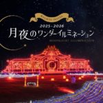 【2025年11月14日（金）～2026年2月28日（土）】約30万球の光が夜を彩る！琉球ホテル＆リゾート 名城ビーチ「月夜のワンダーイルミネーション」