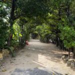 【本部町】『シークレットプールヴィラSEJI(セジ） 沖縄備瀬』究極のゴージャス・ヴィラ！バトラーやコンシェルジュ付きで記念日にぴったり！