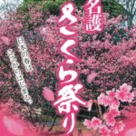 【2026年最新版】名護の街が桜色に染まる♪エイサーやパレードなどイベント満載の「第63回 名護さくら祭り」