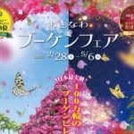 【2026年2月28日（土）～5月6日（水）】日本最大級のブーゲンタワー出現！東南植物楽園で「おきなわブーゲンフェア2026」開催♪夜は沖縄南国イルミネーション